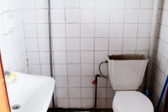 Bathroom - Pre Matthews amazing repairs